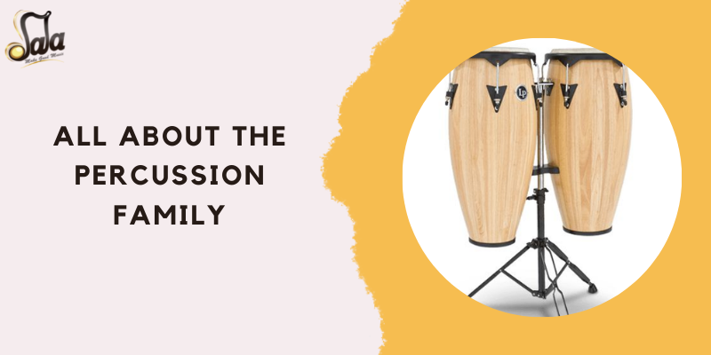 Overview of the percussion instrument family from drums to cymbals and shakers