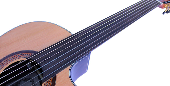 Fretless Electric Classical Guitar with Equalizer CP-3