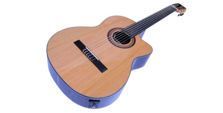 Fretless Electric Classical Guitar with Equalizer CP-3