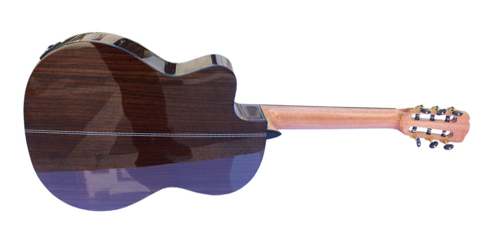 Fretless Electric Classical Guitar with Equalizer CP-3