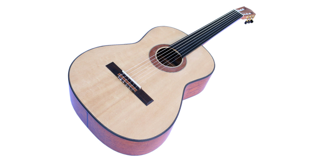 COP-404 fretless classical guitar from Sala, includes soft case, picks and strings