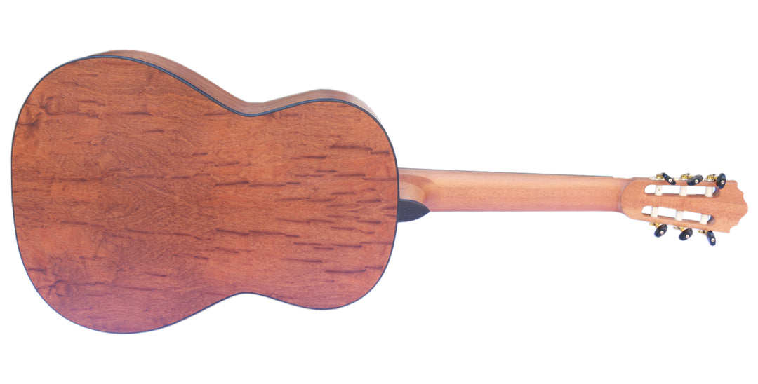 Sala COP-404 fretless classical guitar shipped with soft case, picks and strings