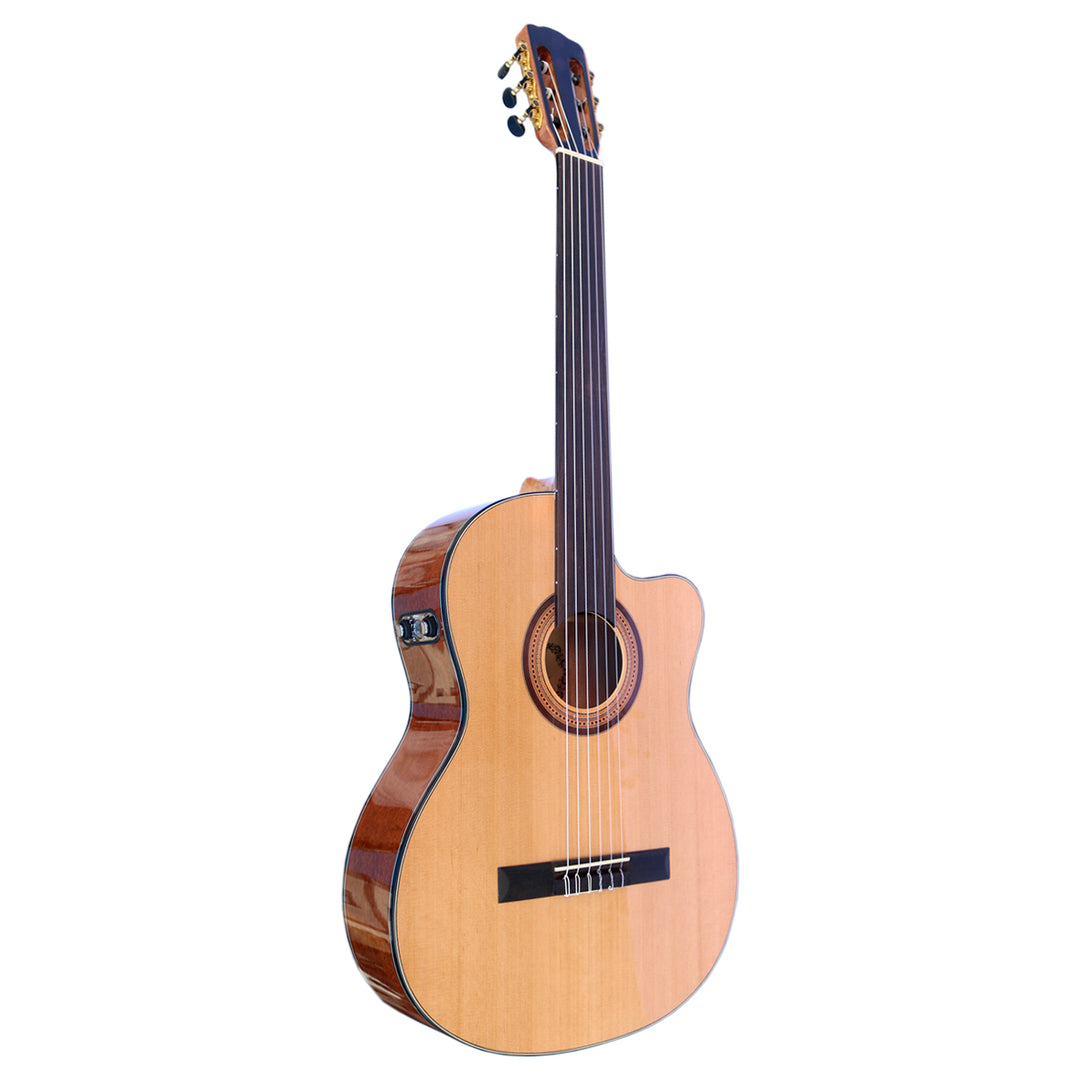 Fretless Classical Guitar with EQ CP-4