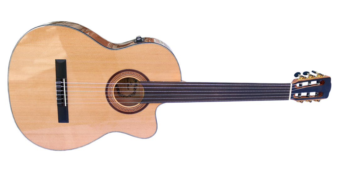 Fretless Classical Guitar with EQ CP-4