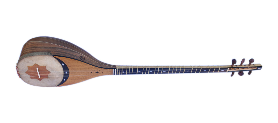 Movlana shourangiz MSH-405 Persian long-neck plucked lute