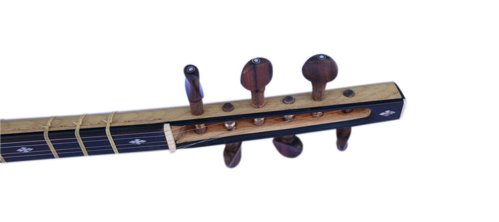 Movlana Persian shourangiz MSH-405 walnut body plucked instrument