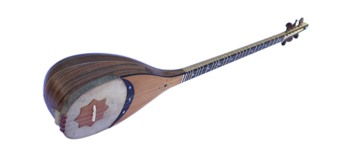 Movlana shourangiz MSH-405 luthier handcrafted Persian instrument