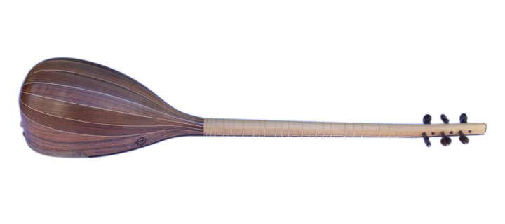 Persian shourangiz MSH-405 by Movlana traditional plucked lute