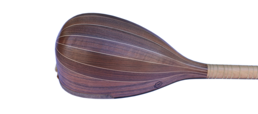 Movlana MSH-405 shourangiz handmade Persian stringed instrument