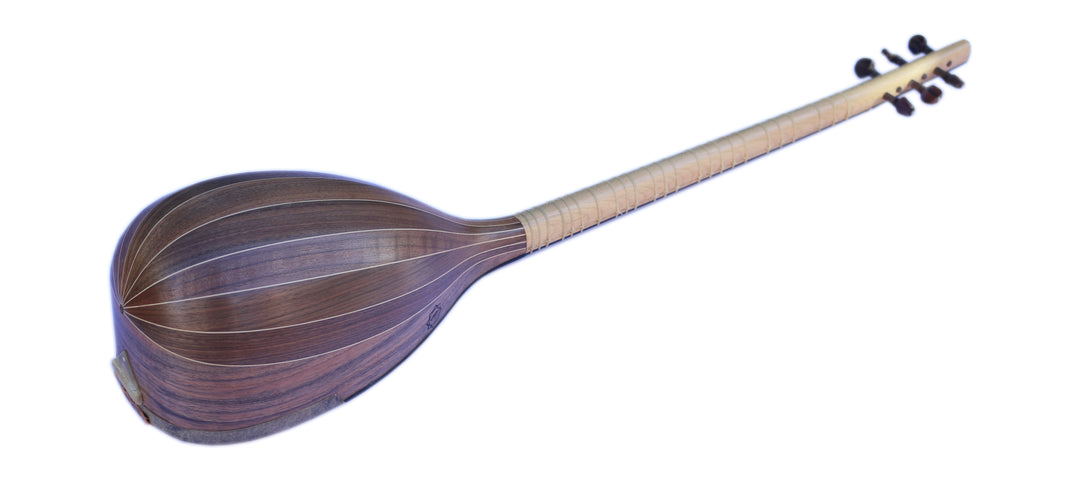 Shourangiz MSH-405 by Movlana Persian folk classical instrument