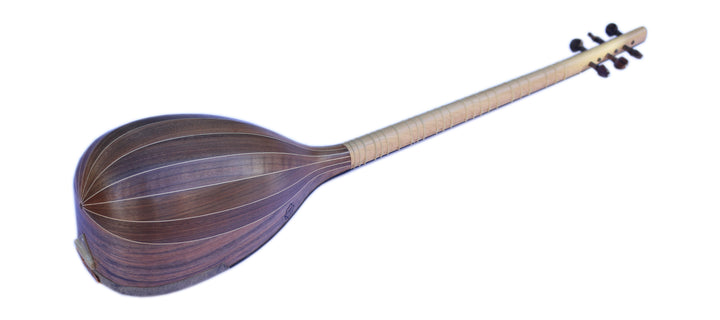 Shourangiz MSH-405 by Movlana Persian folk classical instrument