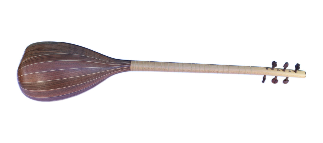 Movlana Persian shourangiz MSH-405 traditional long-neck lute