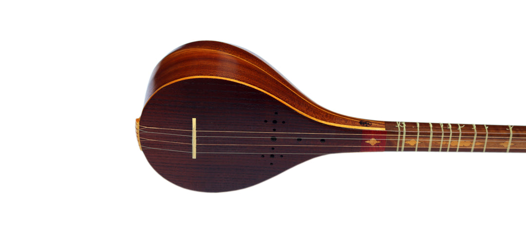 Persian mulberry setar DS-3 by Davood with 4 strings