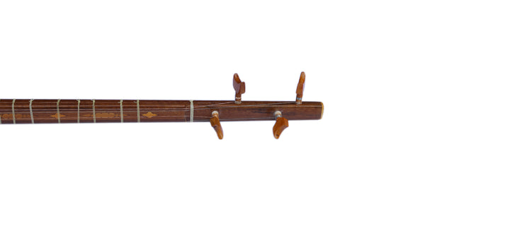 Mulberry setar DS-3 by Davood concert Persian plucked instrument