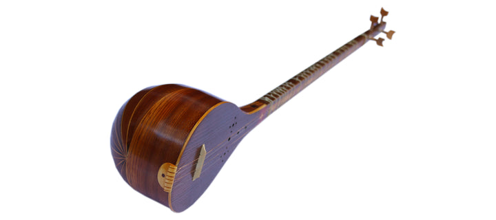 Davood Persian setar DS-3 luthier instrument with walnut neck