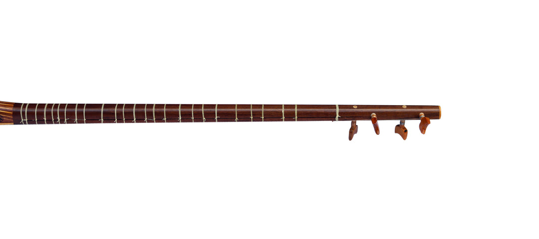 Persian setar DS-3 by Davood handmade with mulberry soundboard