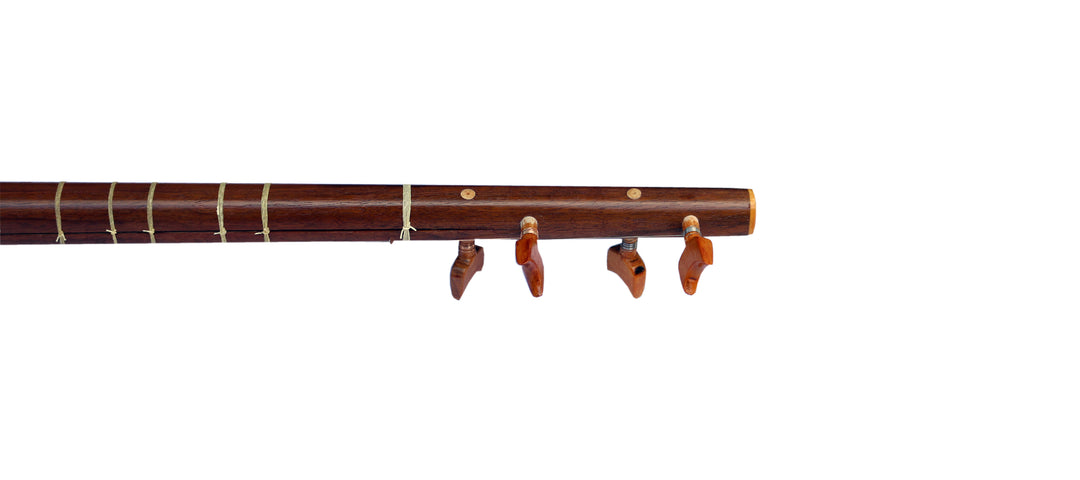 Davood Persian setar DS-3 4-string classical plucked lute