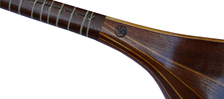 Setar DS-3 by Davood handmade Persian instrument luthier craft