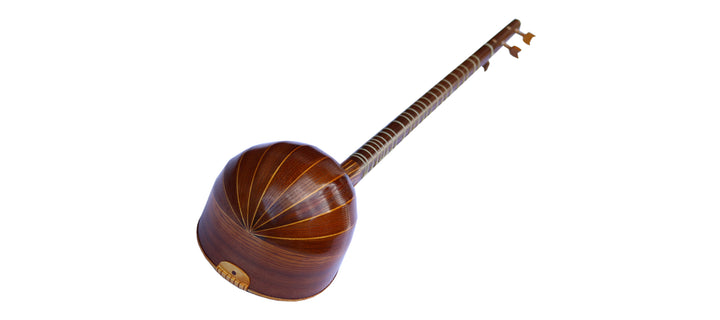 Davood mulberry setar DS-3 concert Persian classical instrument