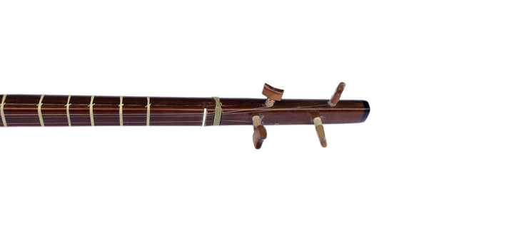 سه‌تار ES-4 Sala الکتریک فارسی چهار سیم ساز ضربه‌ای