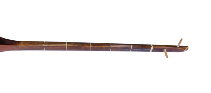 Dotar ND-101 by Nava long-neck Persian folk stringed instrument