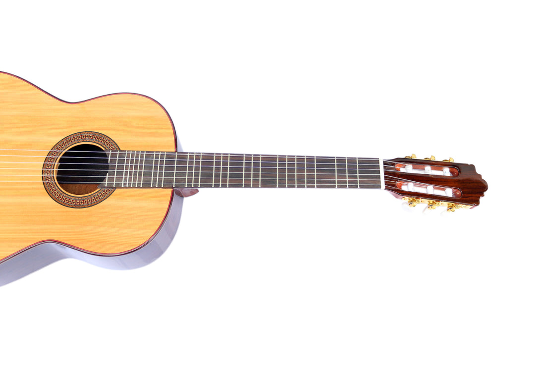Sala Microtonal Classical Guitar KG