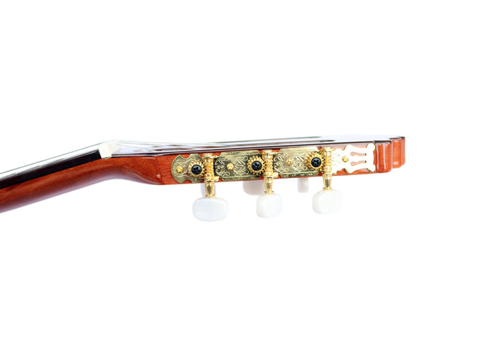 Sala Microtonal Classical Guitar KG
