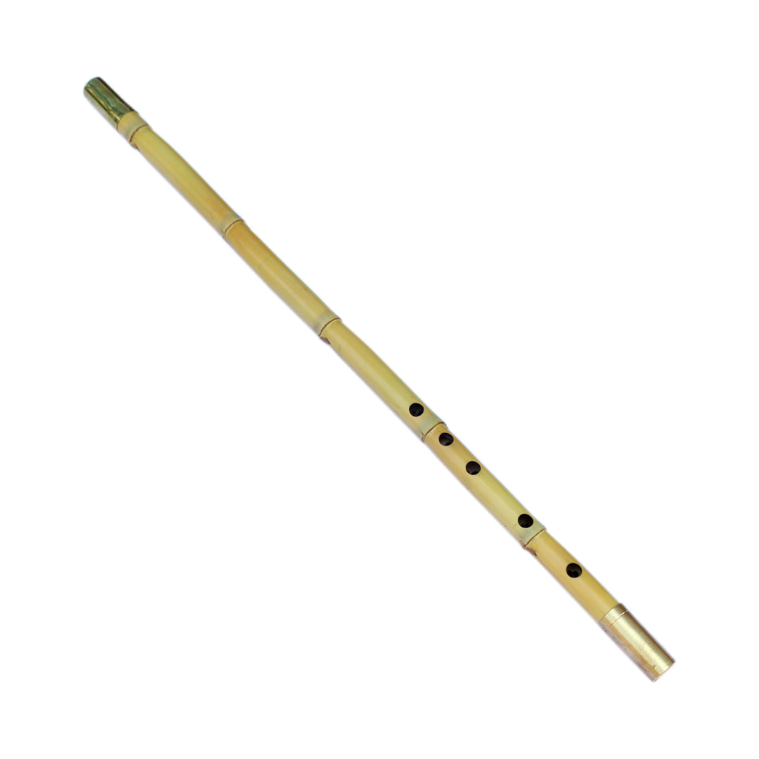 Mirzaei professional Persian ney PNM-4 with cane body handmade