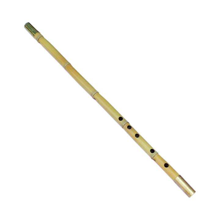 Mirzaei professional Persian ney PNM-4 with cane body handmade