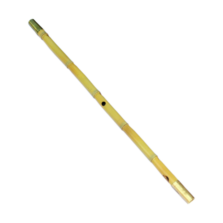 Persian ney PNM-4 by Mirzaei traditional reed flute