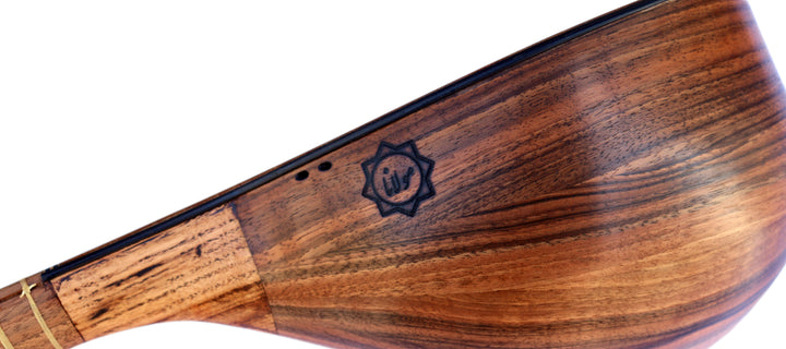 Movlana setar MOS-4 stringed Persian instrument with walnut soundboard