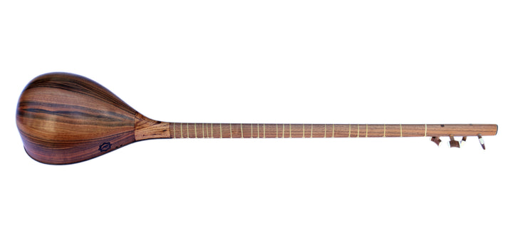 Movlana Persian setar MOS-4 walnut long-neck lute carved details