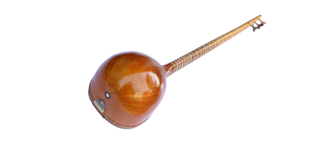Sala Persian setar ZSH-4 shourangiz long-neck lute carved details
