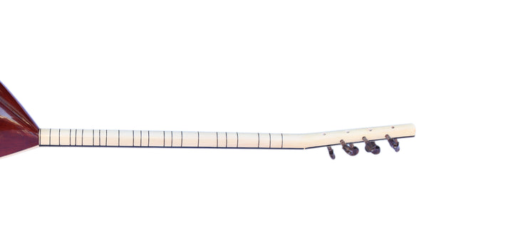 Sala Professional Long Neck Electric Acoustic Baglama Saz  ALB-305