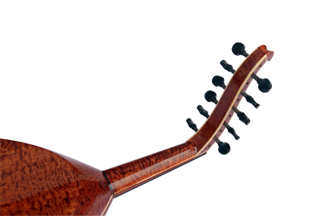 Oud eléctrico turco UNQ-20EL de Pomela de Miras