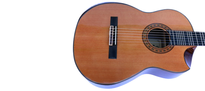 Professional Microtonal Electric Classical Guitar With Equalizer KG-5