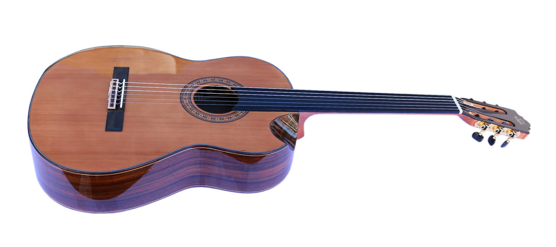 Sala Professional Fretless Electric Classical Guitar With Equalizer CP-5