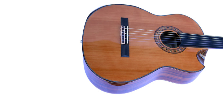Sala Professional Fretless Electric Classical Guitar With Equalizer CP-5