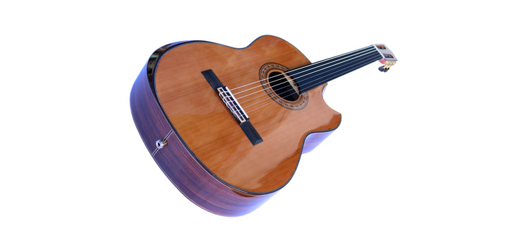 Sala Professional Fretless Electric Classical Guitar With Equalizer CP-5
