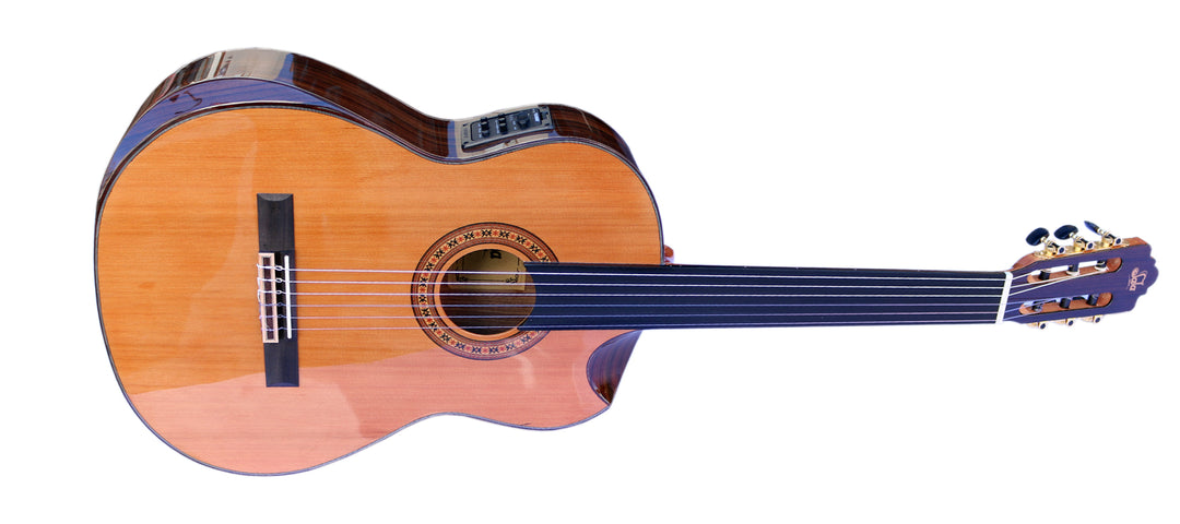 Sala Professional Fretless Electric Classical Guitar With Equalizer CP-5