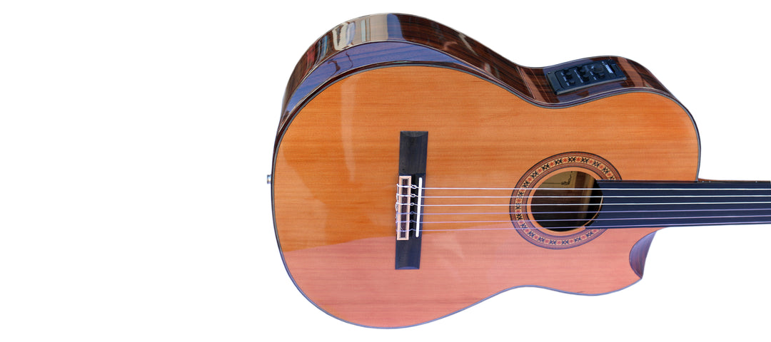 Sala Professional Fretless Electric Classical Guitar With Equalizer CP-5