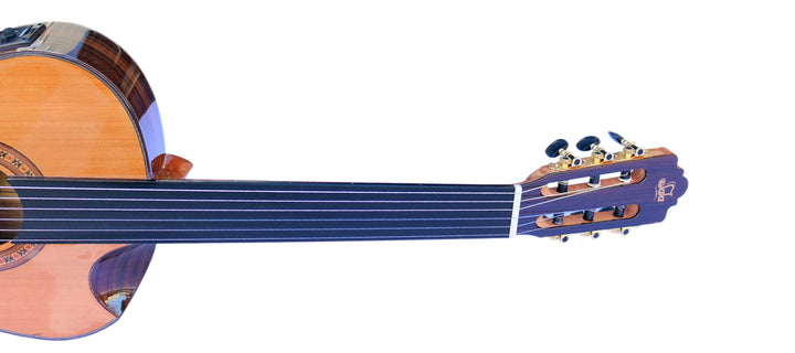 Sala Professional Fretless Electric Classical Guitar With Equalizer CP-5