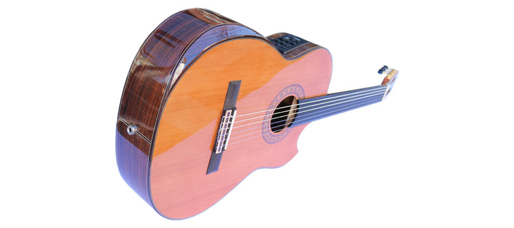 Sala Professional Fretless Electric Classical Guitar With Equalizer CP-5