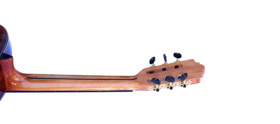Sala Professional Fretless Electric Classical Guitar With Equalizer CP-5