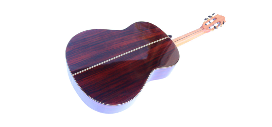 Sala Adjustable Microtonal Classical Guitar CK-5