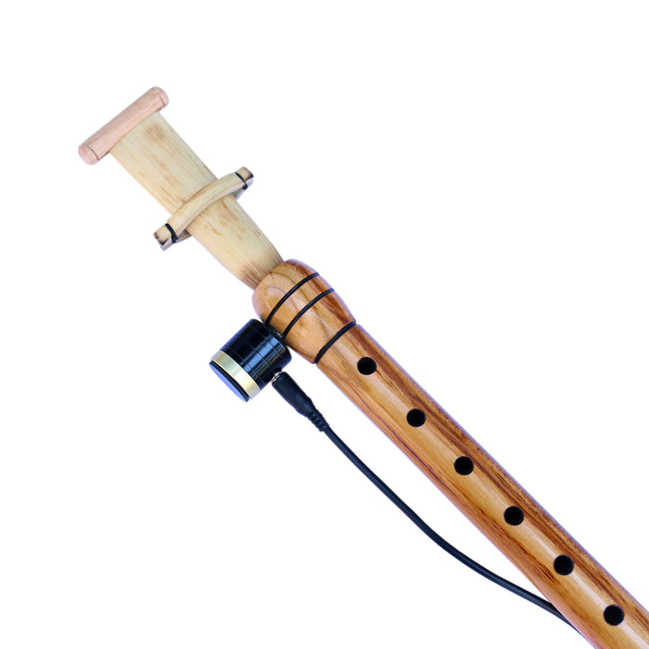 Sala Electric Acoustic Turkish Mey EMK-4