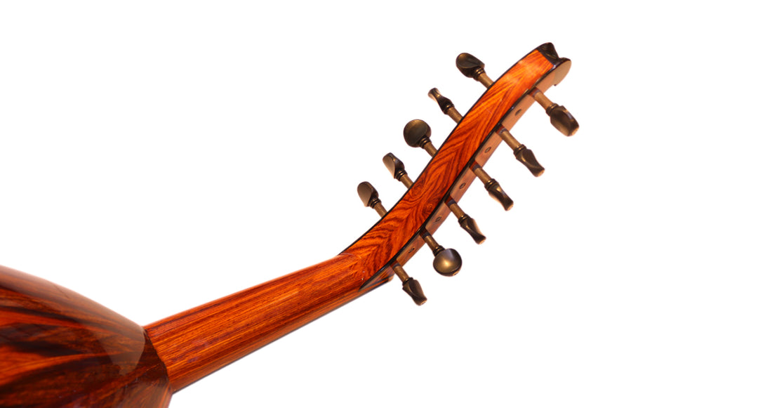 Cocobolo Majesty arabische Oud von Miras Lute