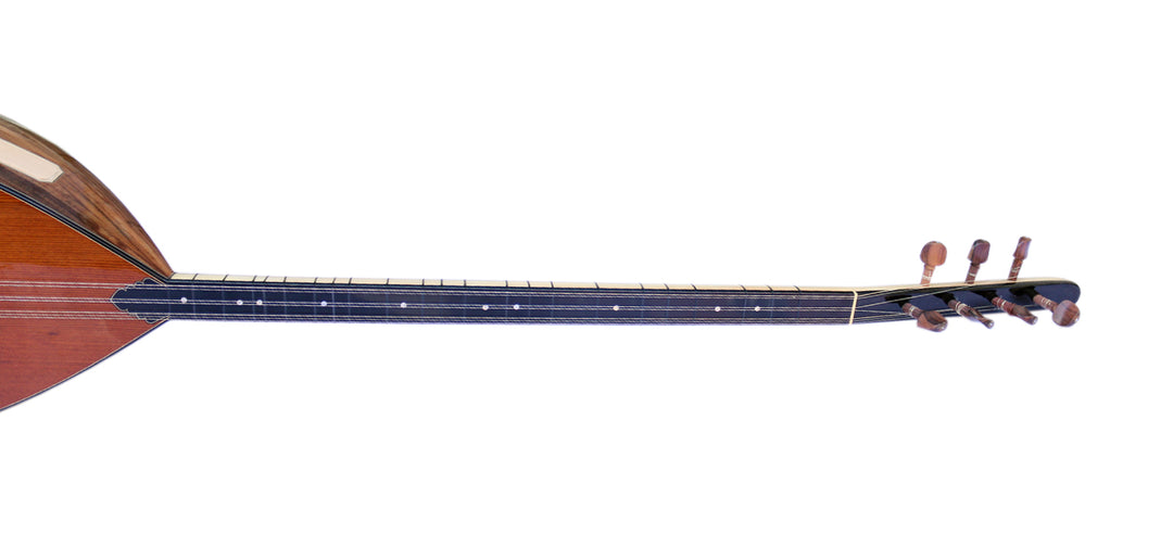 Sala uzun sap elektrik akustik bağlama ALB-303EQ