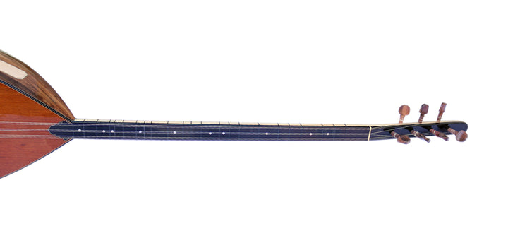 Sala uzun sap elektrik akustik bağlama ALB-303EQ