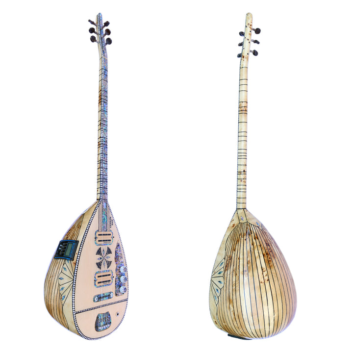 Profesyonel elektrik saz AYS-304 Ali Demir Yaygin Saz mazel kasasıyla